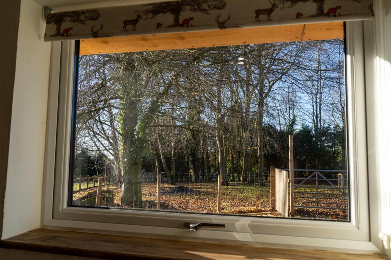 Rose Hideaway - Forest Of Dean Cosy Cabin Retreat Yorkley Экстерьер фото